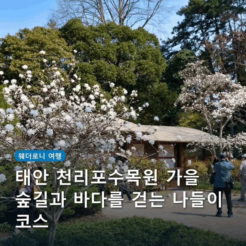 태안 천리포수목원 가을 숲길과 바다를 걷는 나들이 코스