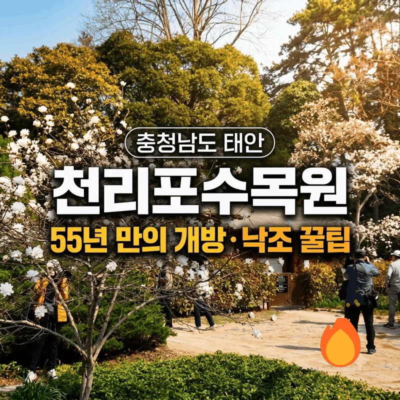 충청남도 태안 천리포수목원 55년 만의 개방 낙조 꿀팁