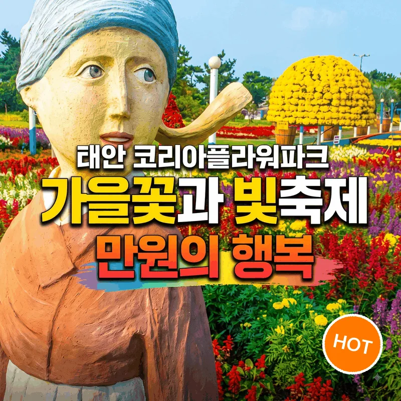 태안 코리아플라워파크 가을꽃과 빛축제 만원의 행복