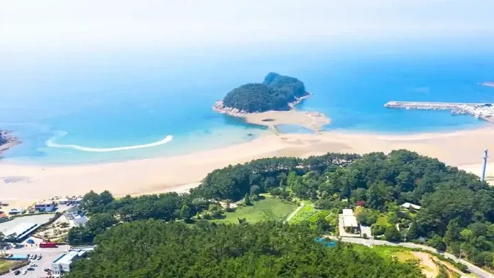바닷가 입지의 천리포수목원 / 사진=한국관광공사 이범수