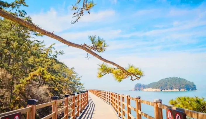 물닭섬 산책로 / 사진= 충청남도 공식 블로그 여행하는 리따