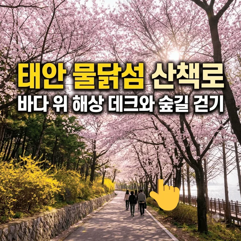태안 물닭섬 산책로 바다 위 해상 데크와 숲길 걷기