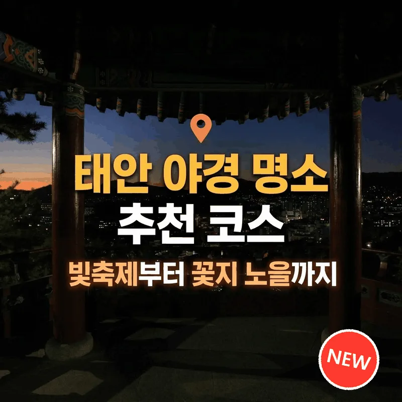태안 야경 명소 추천 코스 빛축제부터 꽃지 노을까지