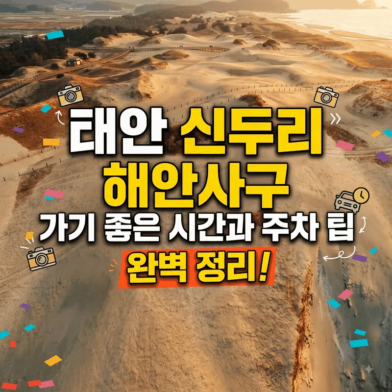 태안 신두리 해안사구 가기 좋은 시간과 주차 팁 완벽 정리