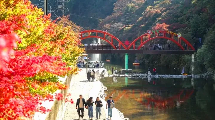 철암단풍군락지 풍경 / 사진=태백시 공식 블로그