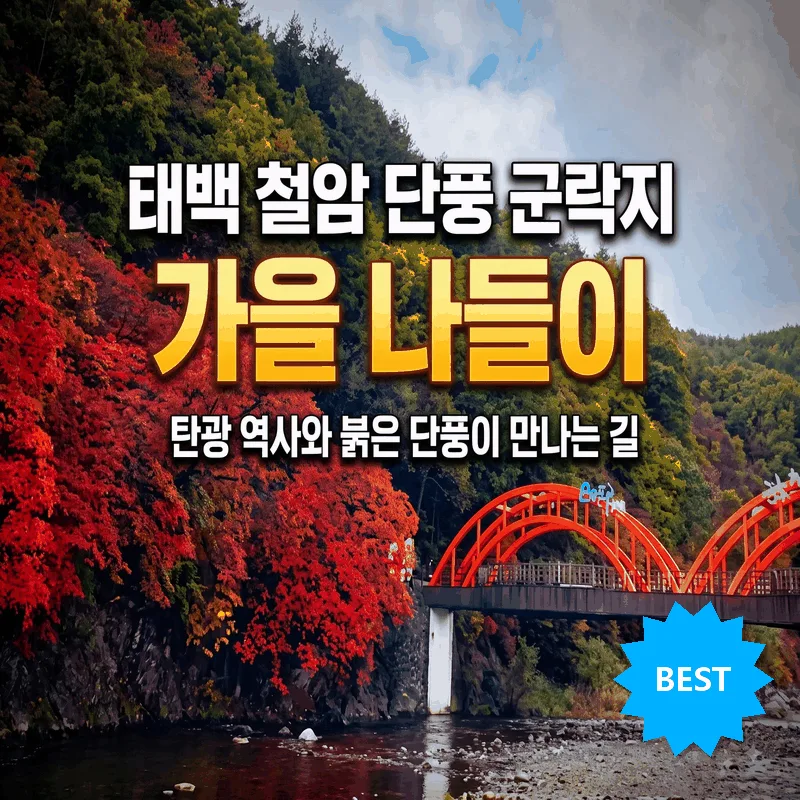 태백 철암단풍군락지 가을 나들이, 탄광 역사와 붉은 단풍이 만나는 길