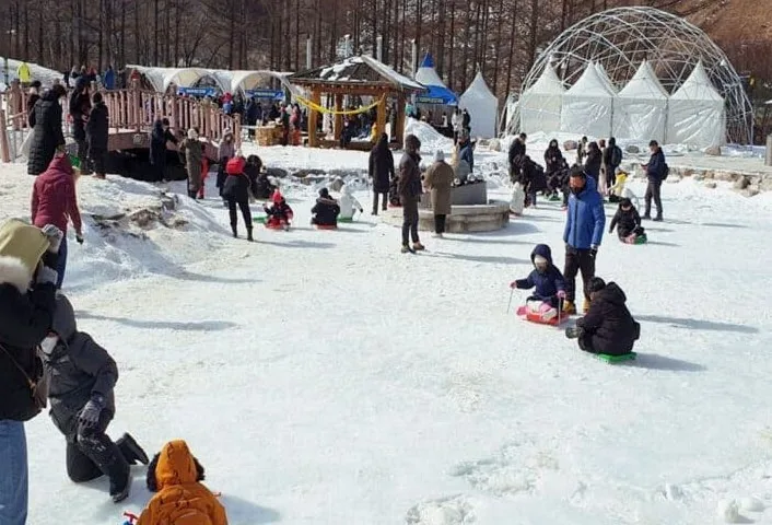 눈썰매 / 사진=태백시문화재단