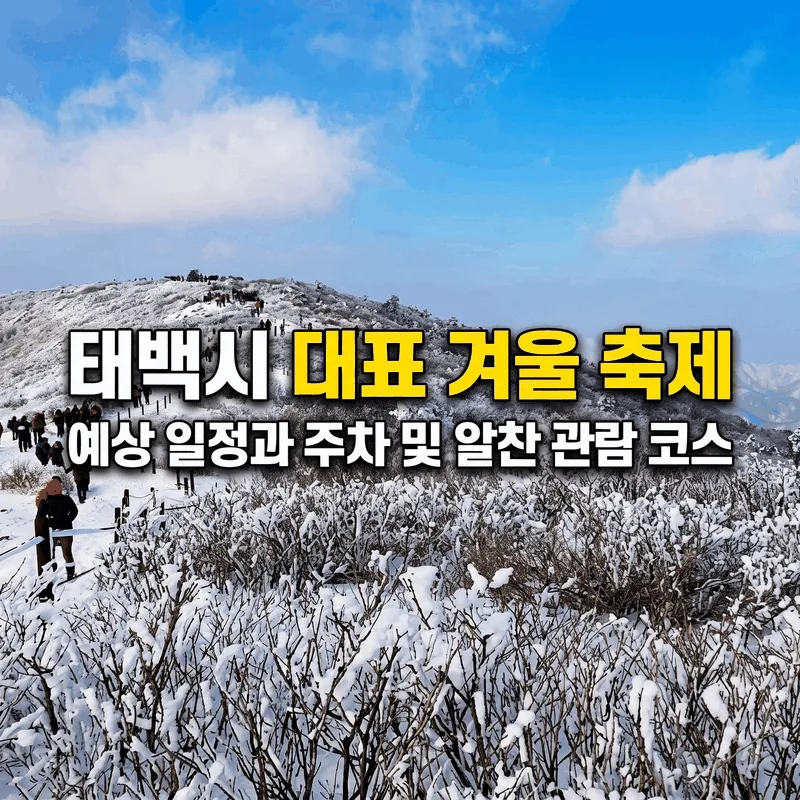 태백시 대표 겨울 축제 예상 일정과 주차 및 알찬 관람 코스