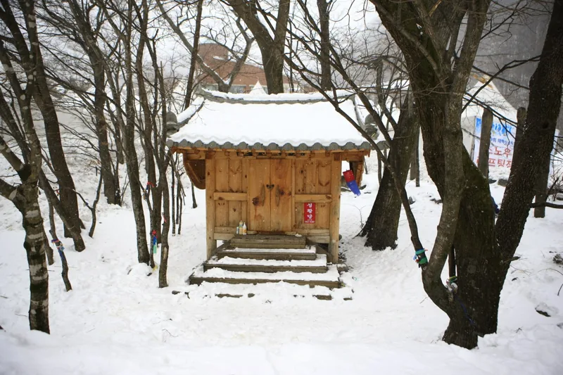 태백산 눈축제