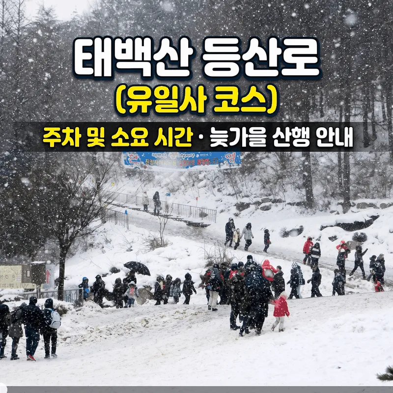 태백산 등산로(유일사 코스) 주차 및 소요 시간 늦가을 산행 안내