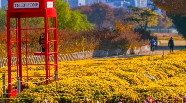 태화강 국가정원 가을 전경 / 사진=울산 공식블로그 이상현