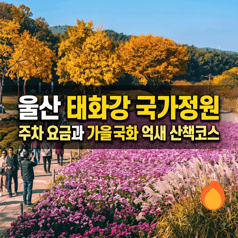 울산 태화강 국가정원 주차 요금과 가을 국화 억새 산책 코스