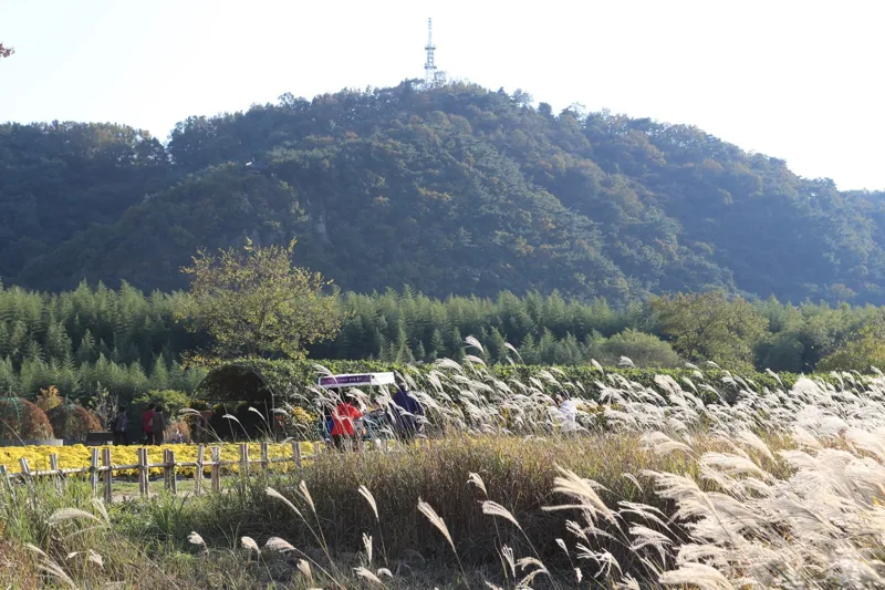 태화강 국가정원