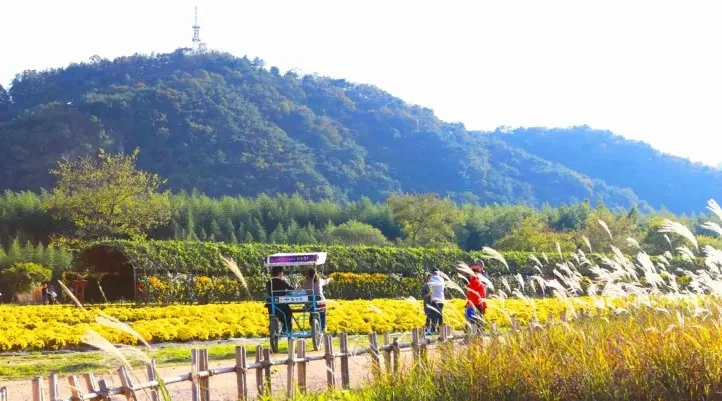 태화강 국가정원 모습 / 사진=ⓒ한국관광공사 이범수