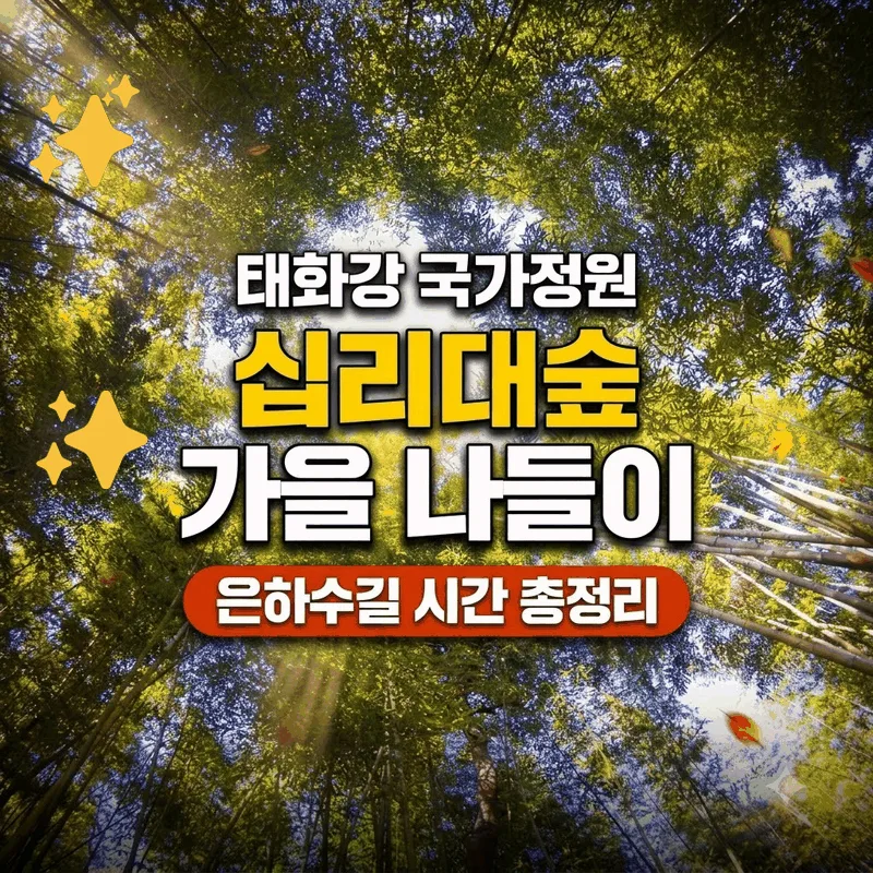 태화강 국가정원 십리대숲 가을 나들이 은하수길 시간 총정리