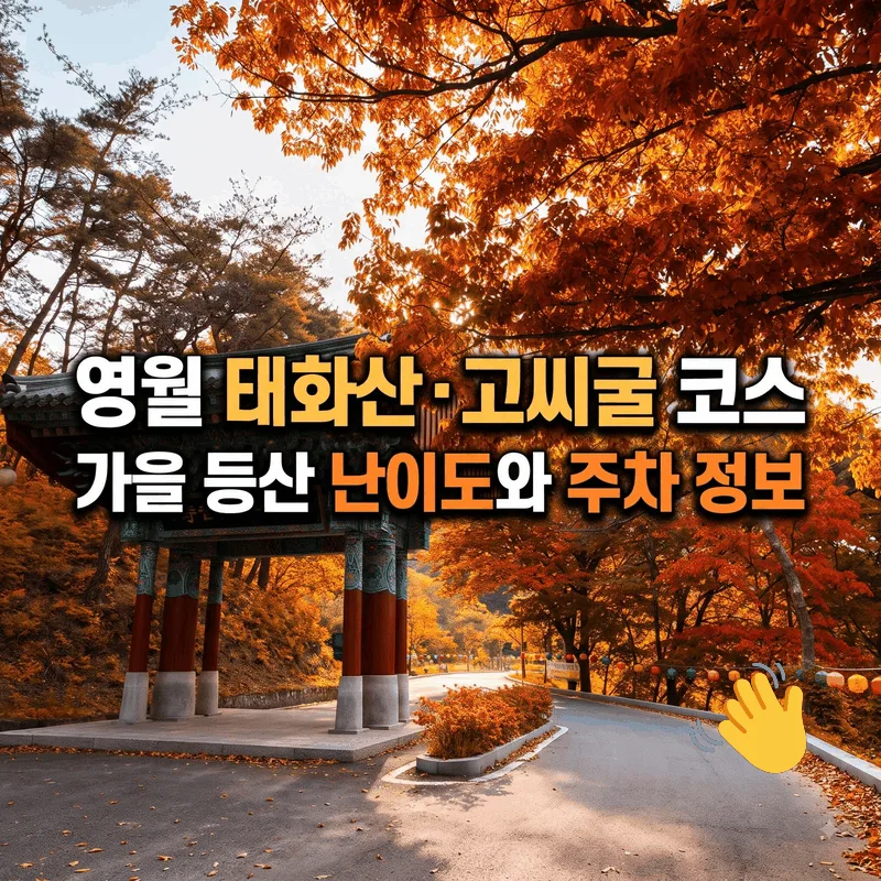 영월 태화산 고씨굴 코스 가을 등산 난이도와 주차 정보