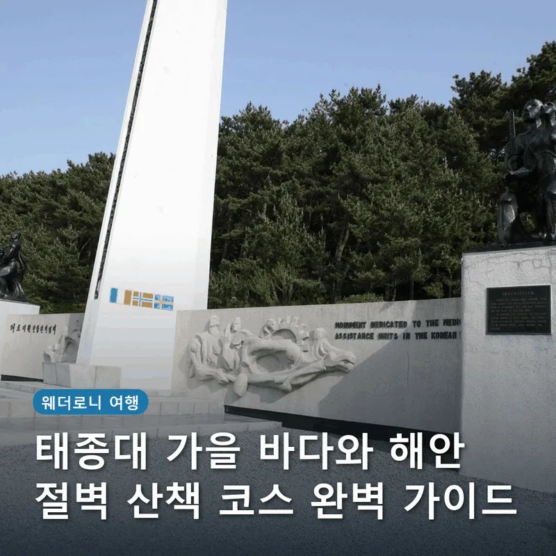 태종대 가을 바다와 해안 절벽 산책 코스 완벽 가이드