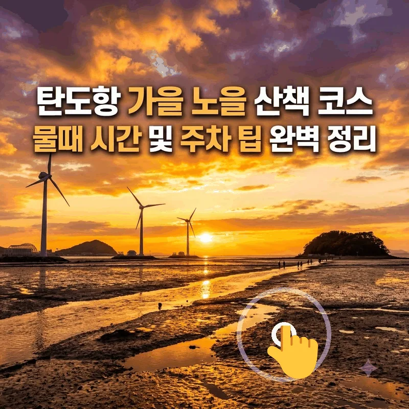 탄도항 가을 노을 산책 코스 물때 시간 및 주차 팁 완벽 정리