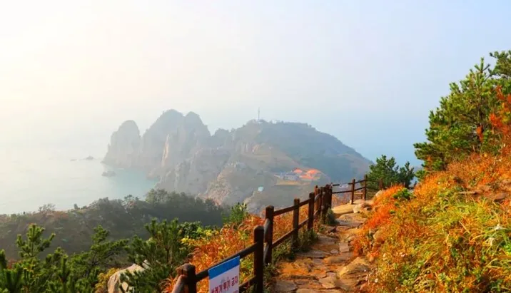 등대섬 가는 길 / 사진=경상남도 공식 블로그 선종건