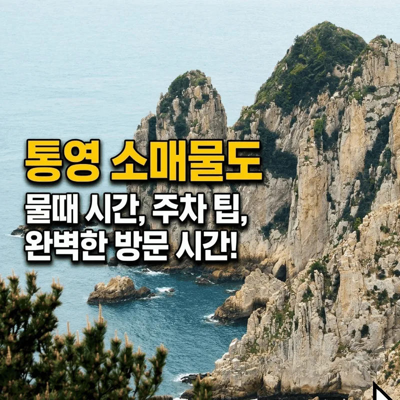 통영 소매물도 물때 시간과 주차 팁부터 가기 좋은 시간 완벽 안내