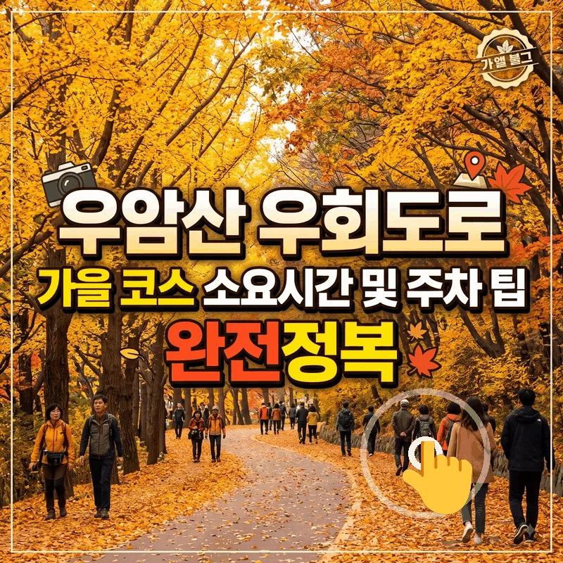우암산 우회도로 둘레길 가을 코스 소요 시간과 주차 팁 완벽 가이드