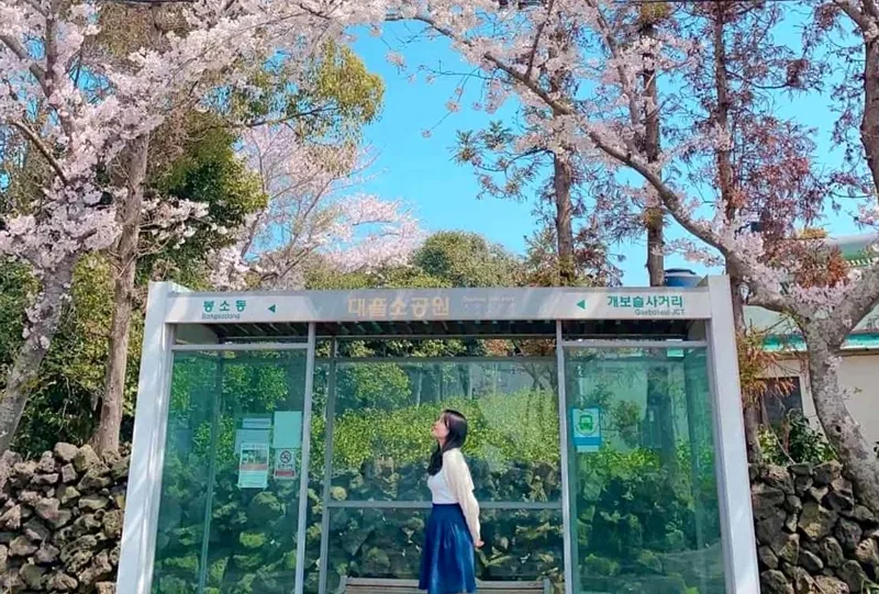 대흘리삼거리 풍경 / 사진=h_hbum 인스타그램