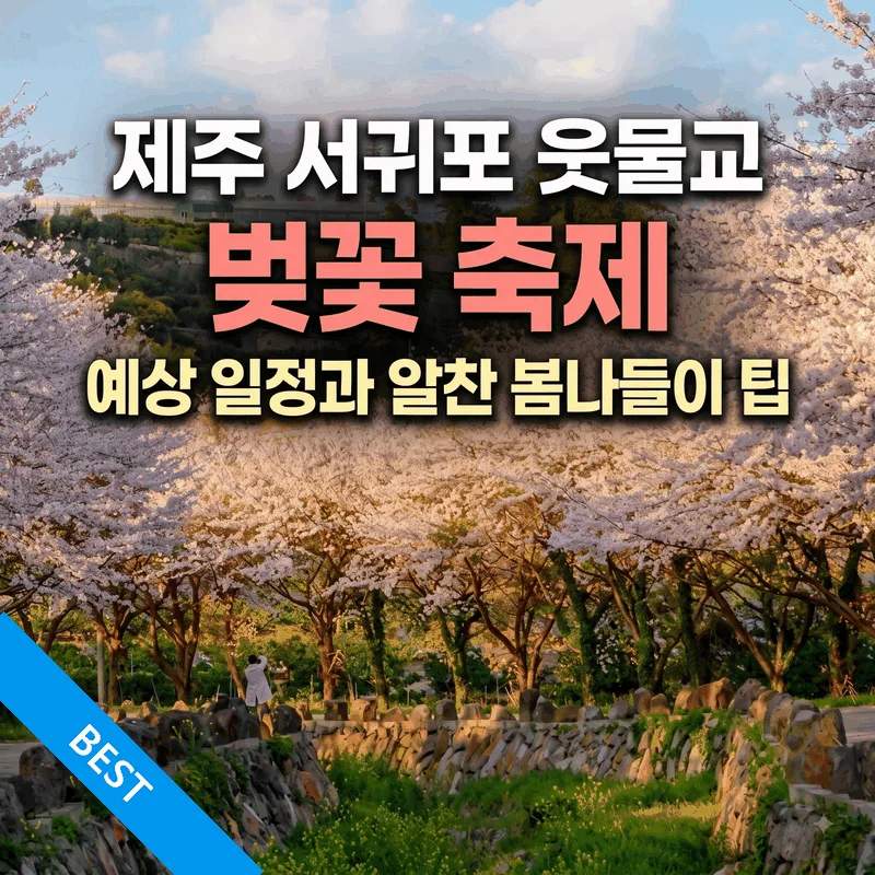 제주 서귀포 웃물교 벚꽃 축제 예상 일정과 알찬 봄나들이 팁