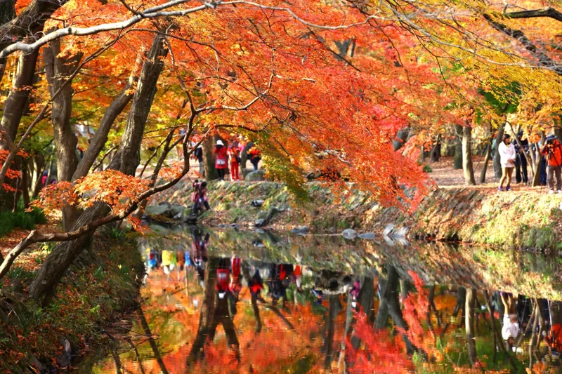 선운사