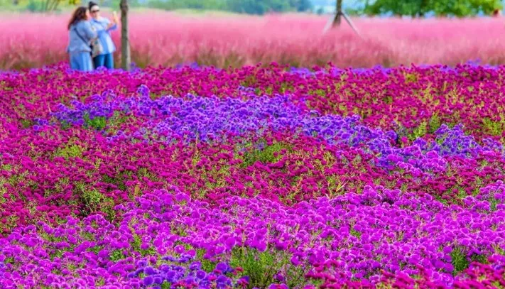 호국의병의 숲 친수공원 / 사진=한국관광콘텐츠랩