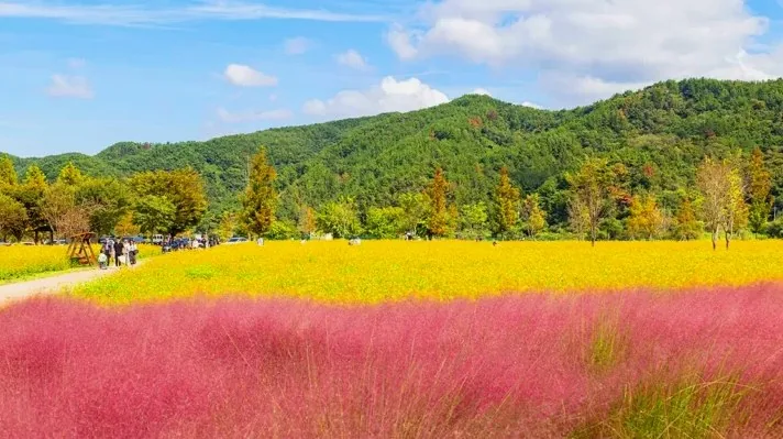 호국의병의 숲 친수공원 풍경 / 사진=한국관광콘텐츠랩