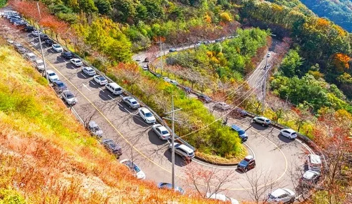 의령 한우산 색소폰 도로 / 사진=의령군 공식블로그 박은희