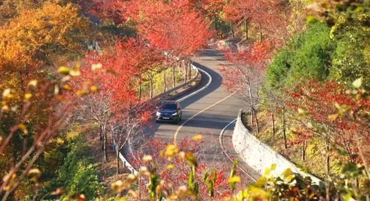 가을 한우산 드라이브 / 사진=경상남도 공식블로그 정한윤