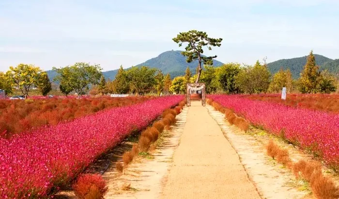 호국의병의숲 친수공원 가우라 / 사진=한국관광콘텐츠랩
