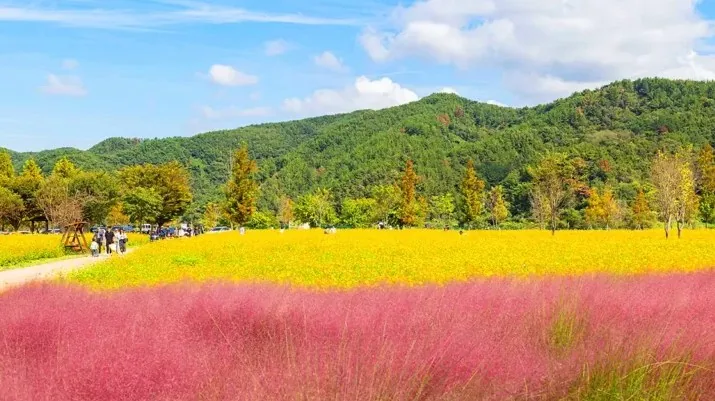 호국의병의숲 친수공원 모습 / 사진=한국관광콘텐츠랩