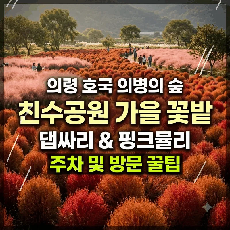 의령 호국의병의숲친수공원 가을 꽃단지 주차와 댑싸리 핑크뮬리 명소 꿀팁