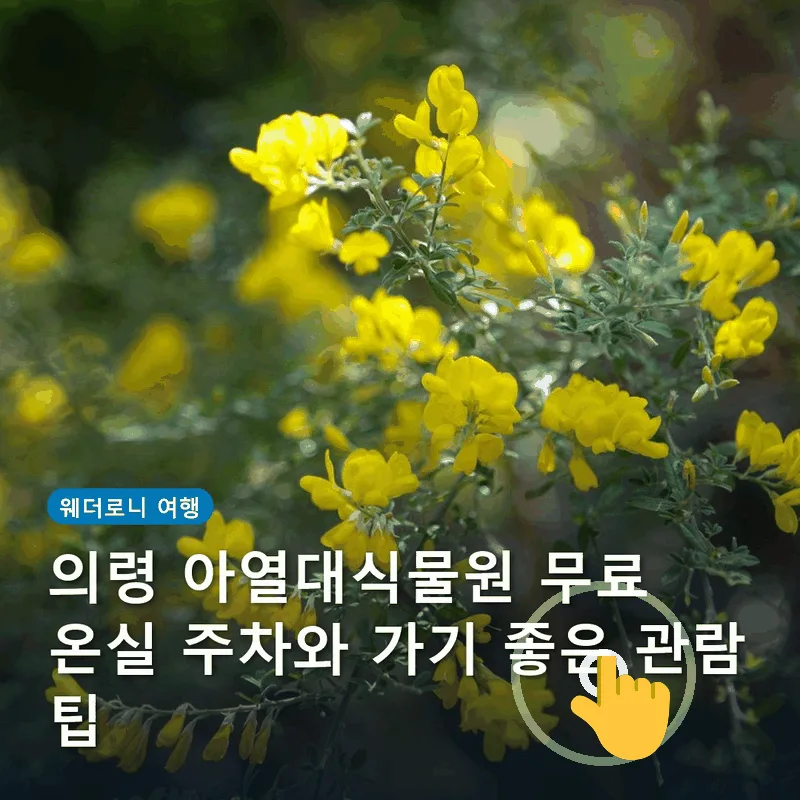 의령 아열대식물원 무료 온실 주차와 가기 좋은 관람 팁