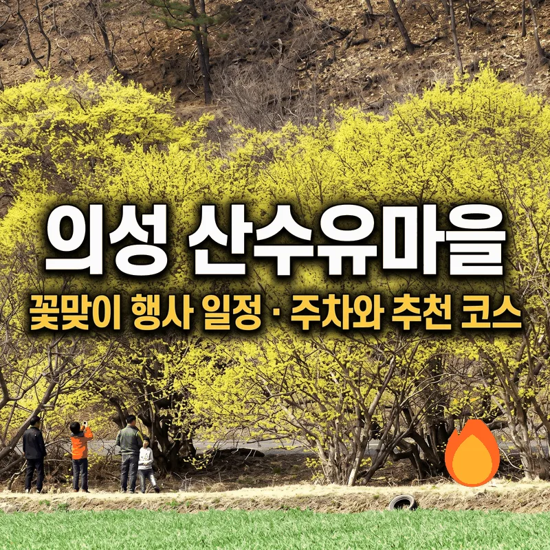 의성 산수유마을 꽃맞이 행사 일정 주차와 추천 코스