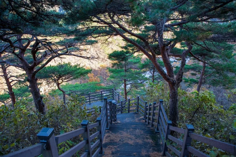 불영계곡