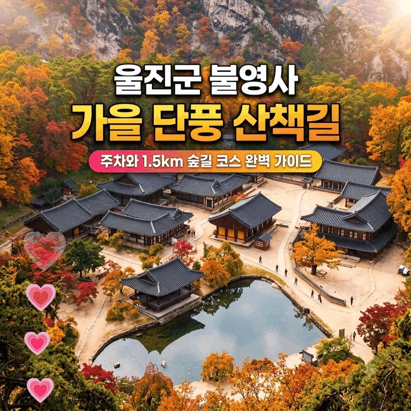 울진군 불영사 가을 단풍 산책길, 주차와 1.5km 숲길 코스 완벽 가이드