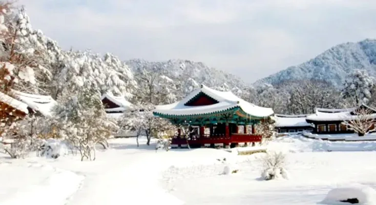 울진 불영사 설경 / 사진=불영사