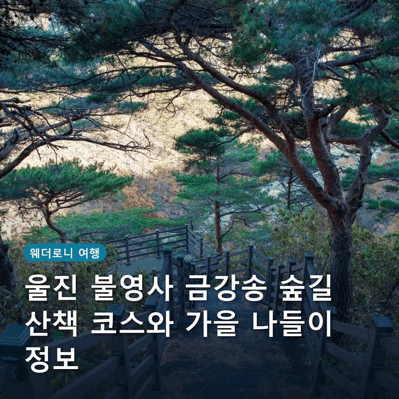울진 불영사 금강송 숲길 산책 코스와 가을 나들이 정보