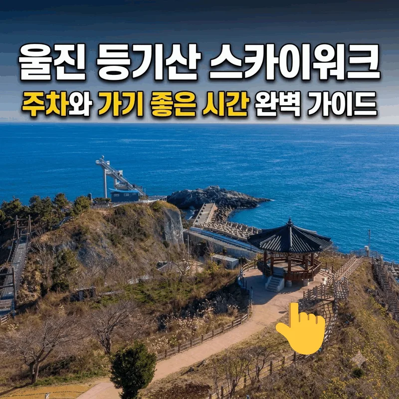 울진 등기산 스카이워크 주차와 가기 좋은 시간 완벽 가이드