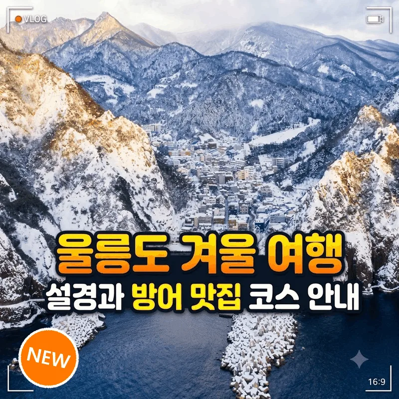 울릉도 겨울 여행 설경과 방어 맛집 코스 안내