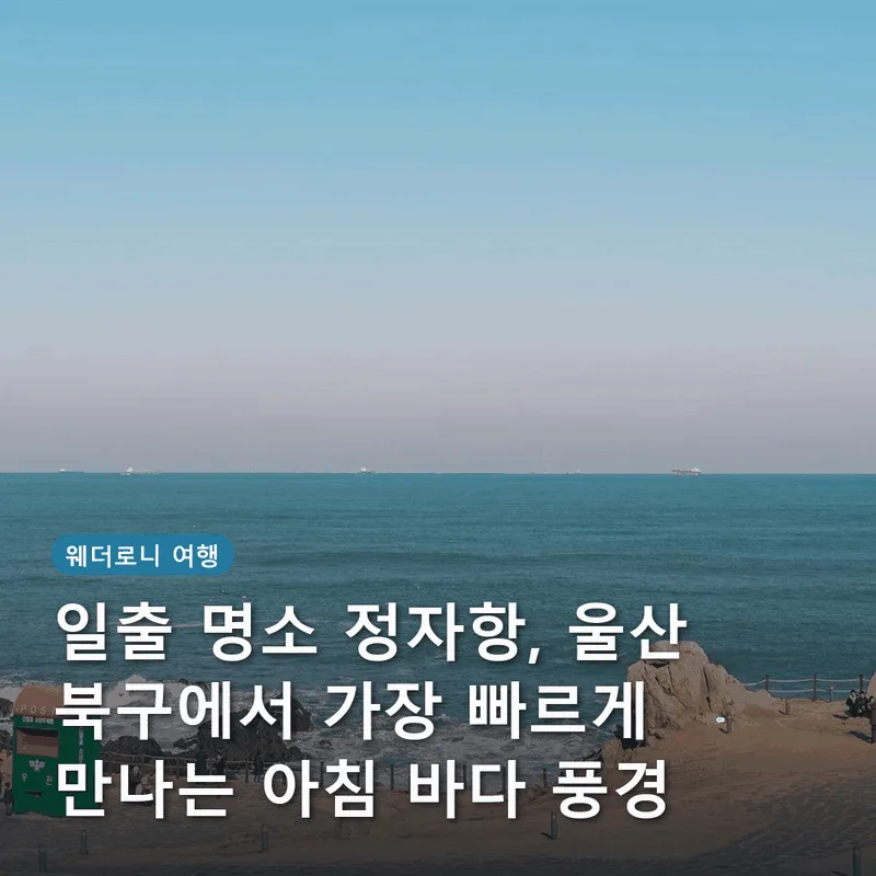 일출 명소 정자항, 울산 북구에서 가장 빠르게 만나는 아침 바다 풍경