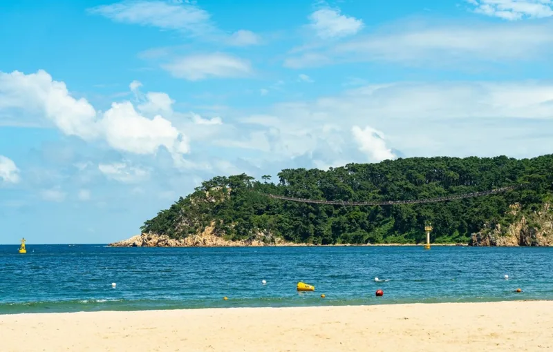 대왕암공원 출렁다리
