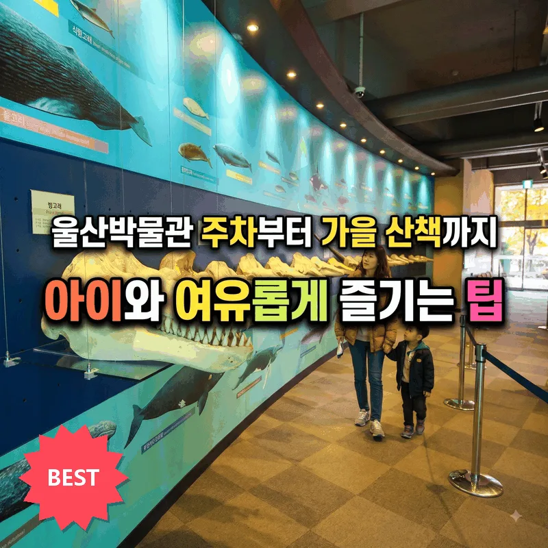 울산박물관 주차부터 가을 산책까지 아이와 여유롭게 즐기는 팁