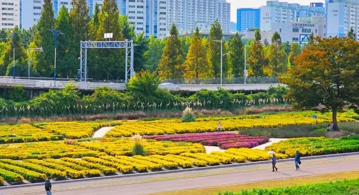 태화강 그라스정원 풍경 / 사진=울산광역시 공식 블로그 울산누리
