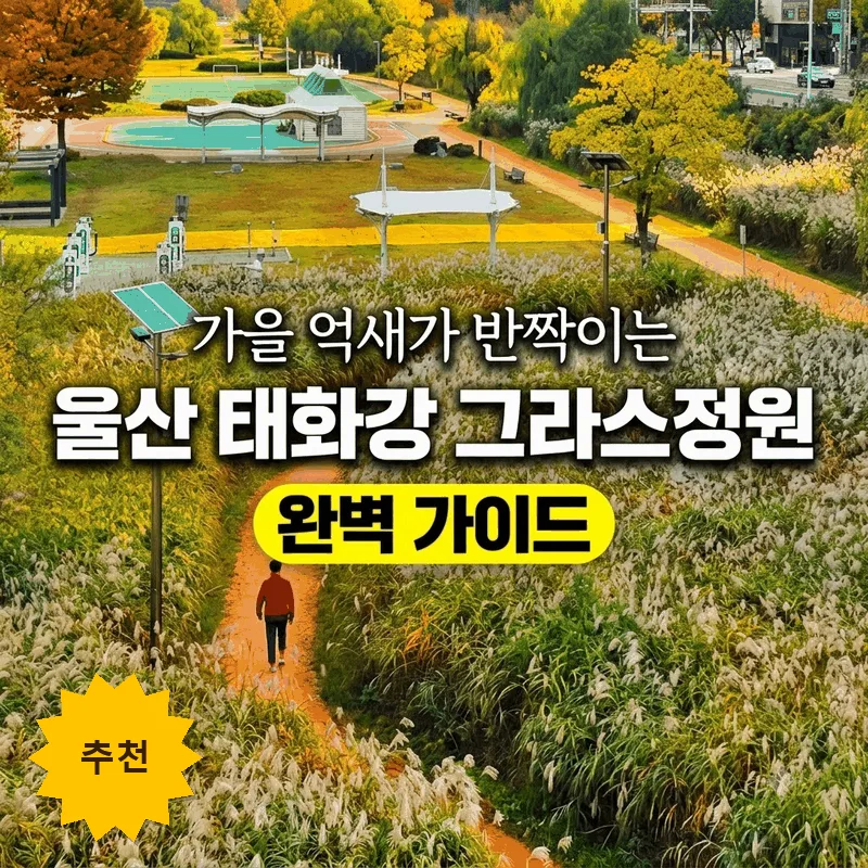 가을 억새가 반짝이는 울산 태화강 그라스정원 완벽 가이드