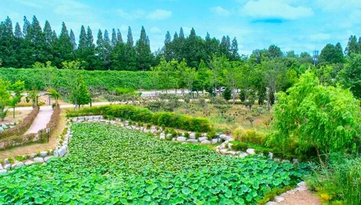 울산 연암정원 / 사진=울산공식블로그 이상현