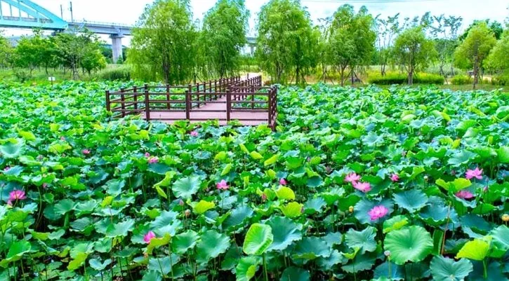 울산 연암정원 / 사진=울산공식블로그 이상현